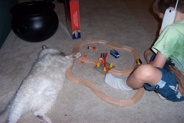 Click for the original image